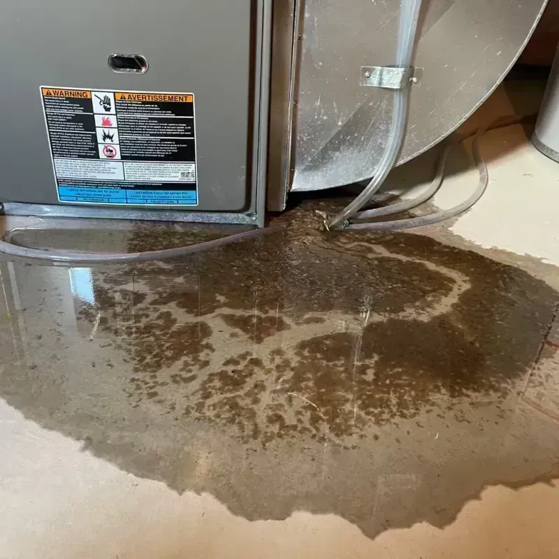 Appliance Leak Cleanup in Anderson, TX